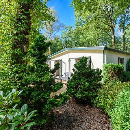 Luxe Familiehuis Veluwe 4-6 Persons Pool Kids Dog Hoenderloo Kültér fotó
