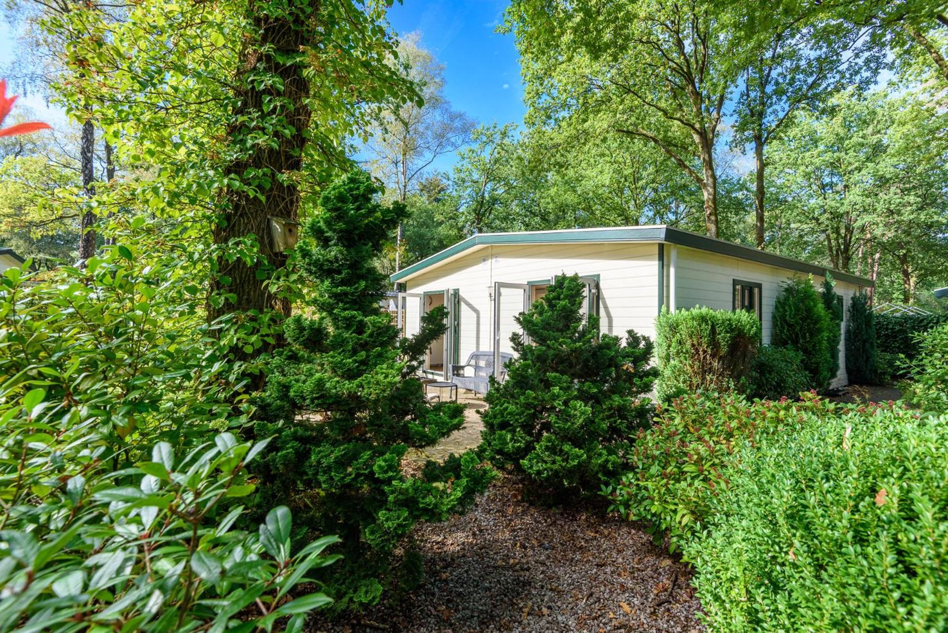 Luxe Familiehuis Veluwe 4-6 Persons Pool Kids Dog Hoenderloo Kültér fotó
